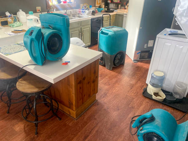 Carpet water damage restoration in Grants, NM