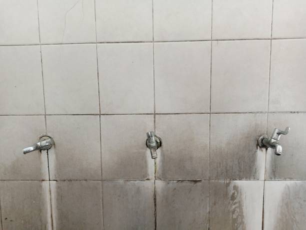 Best Ceiling water damage repair  in Grants, NM