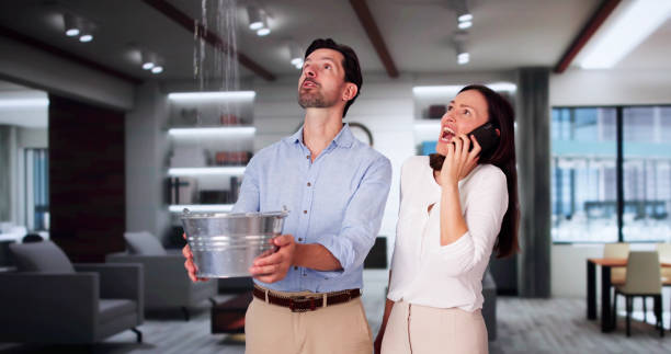 Best Sewage cleanup and water damage restoration  in Grants, NM